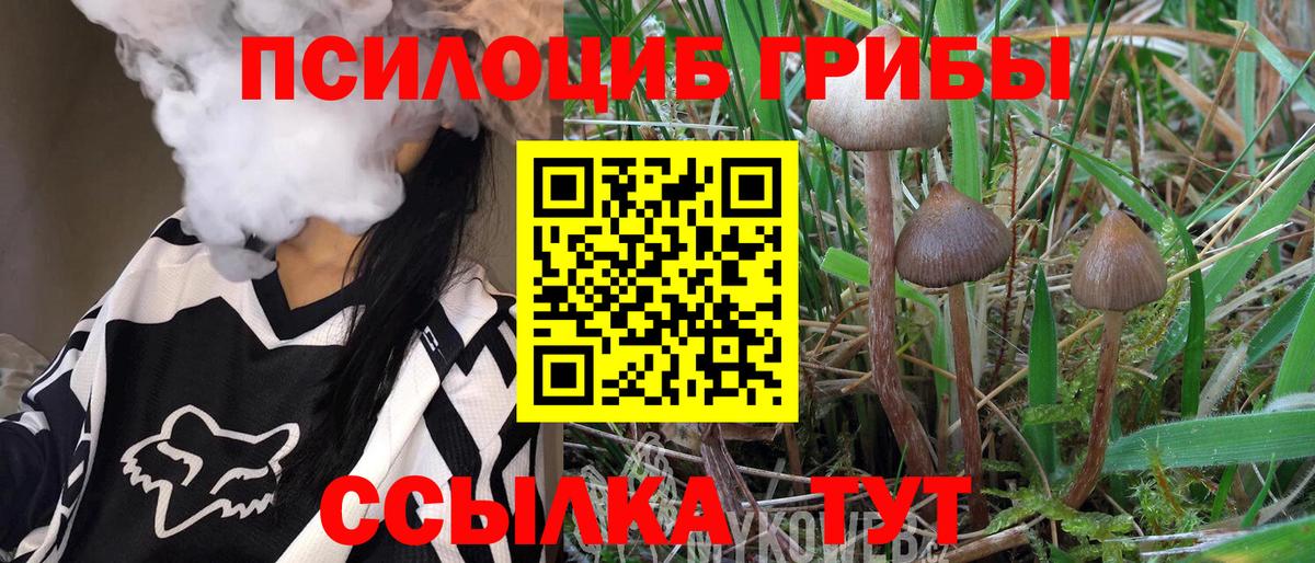 сколько стоит  Вход с VPN  Морозовск  Псилоцибиновые грибы мухоморы  Галлюциногенные грибы Cubensis 