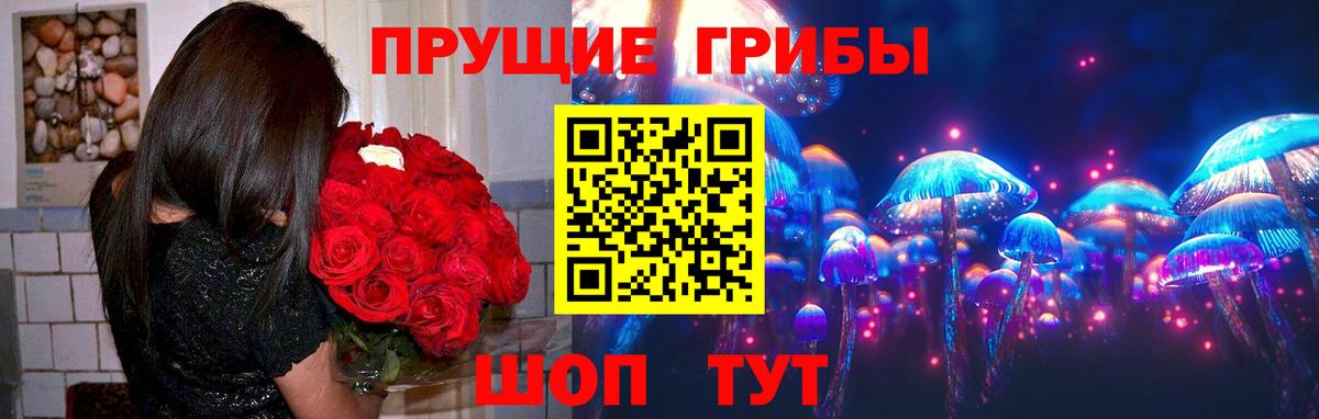 Псилоцибиновые грибы Cubensis Морозовск